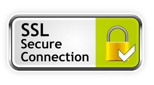 Shop with 100% Secure, 256 Bit Encryption